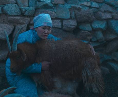 Vlci vždy přichází v noci obrázek 1