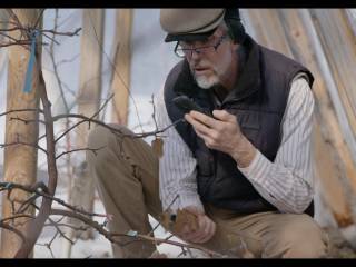 muž fotí větve stromu na telefon