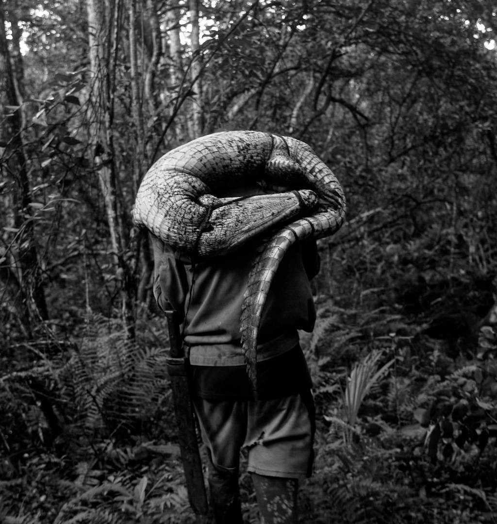 Na západ, do Zapaty