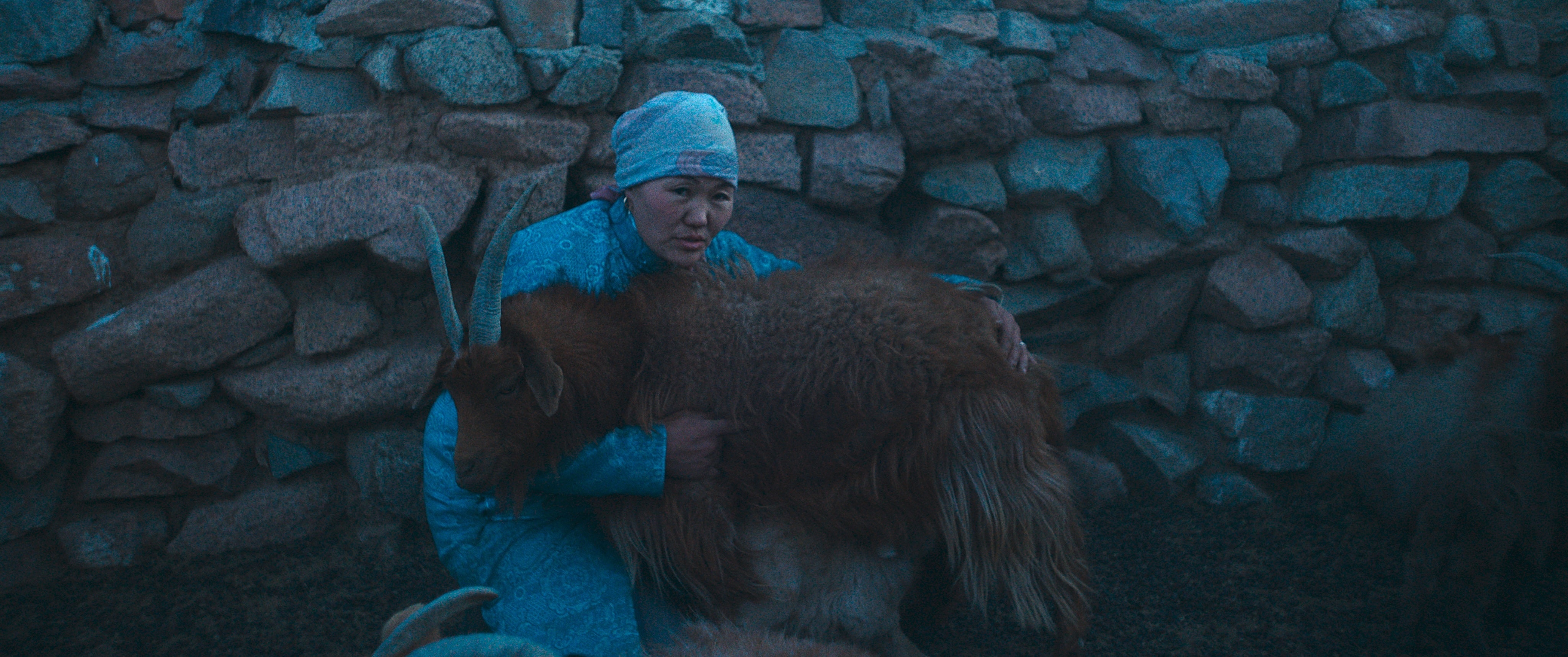 Vlci vždy přichází v noci